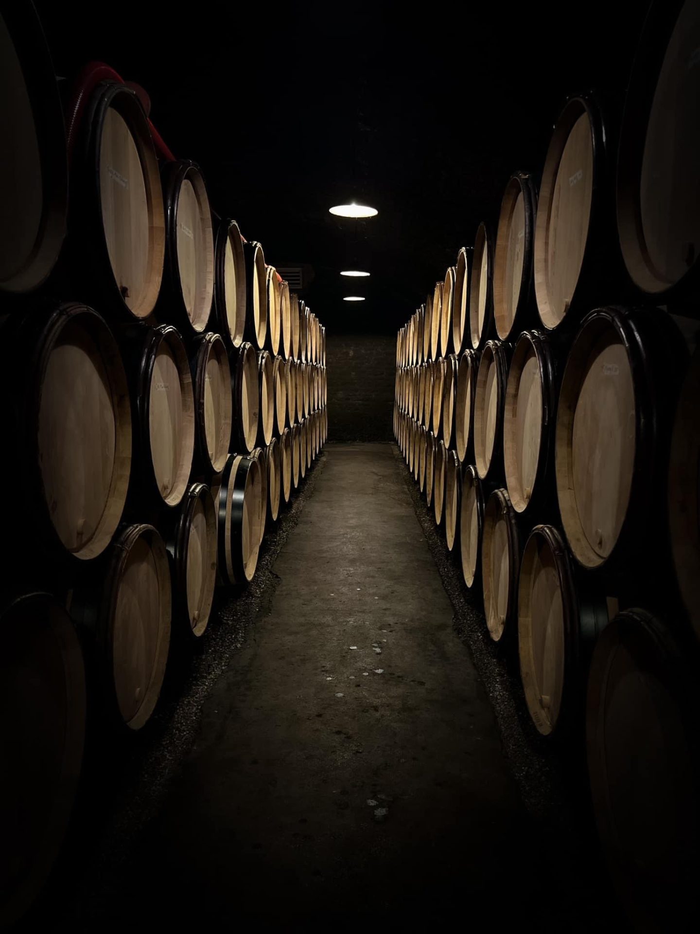 into the cellar