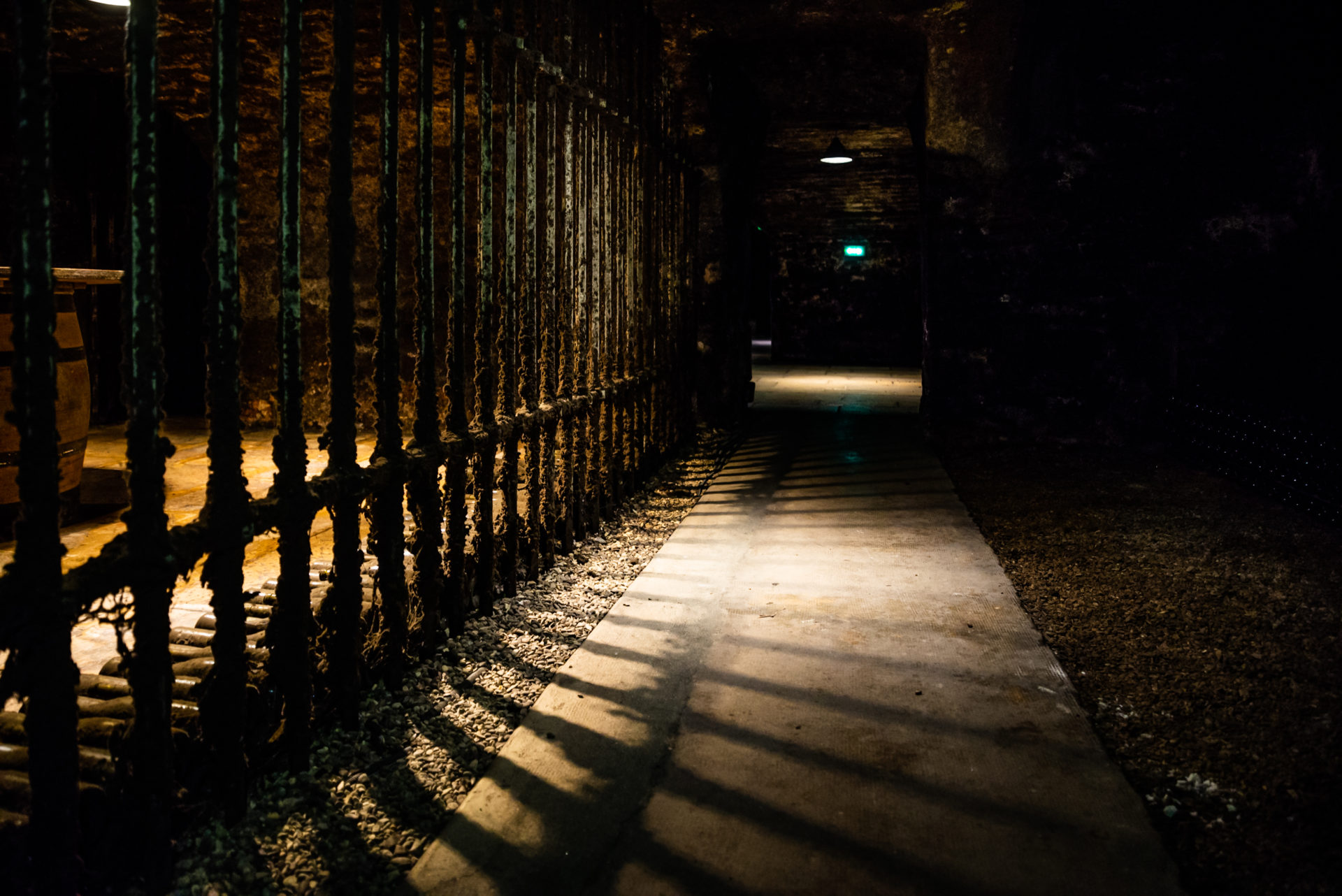 into the cellar of Burgundy