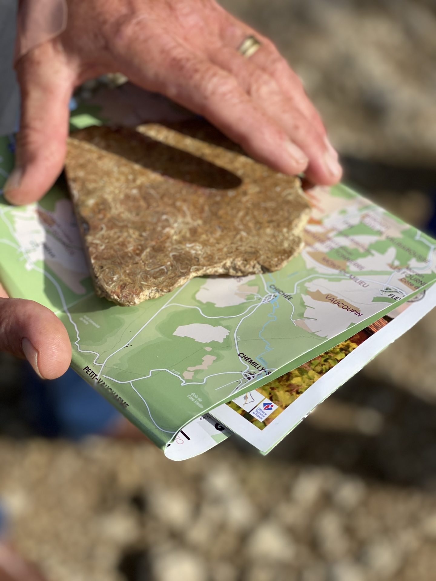 terroir de Chablis