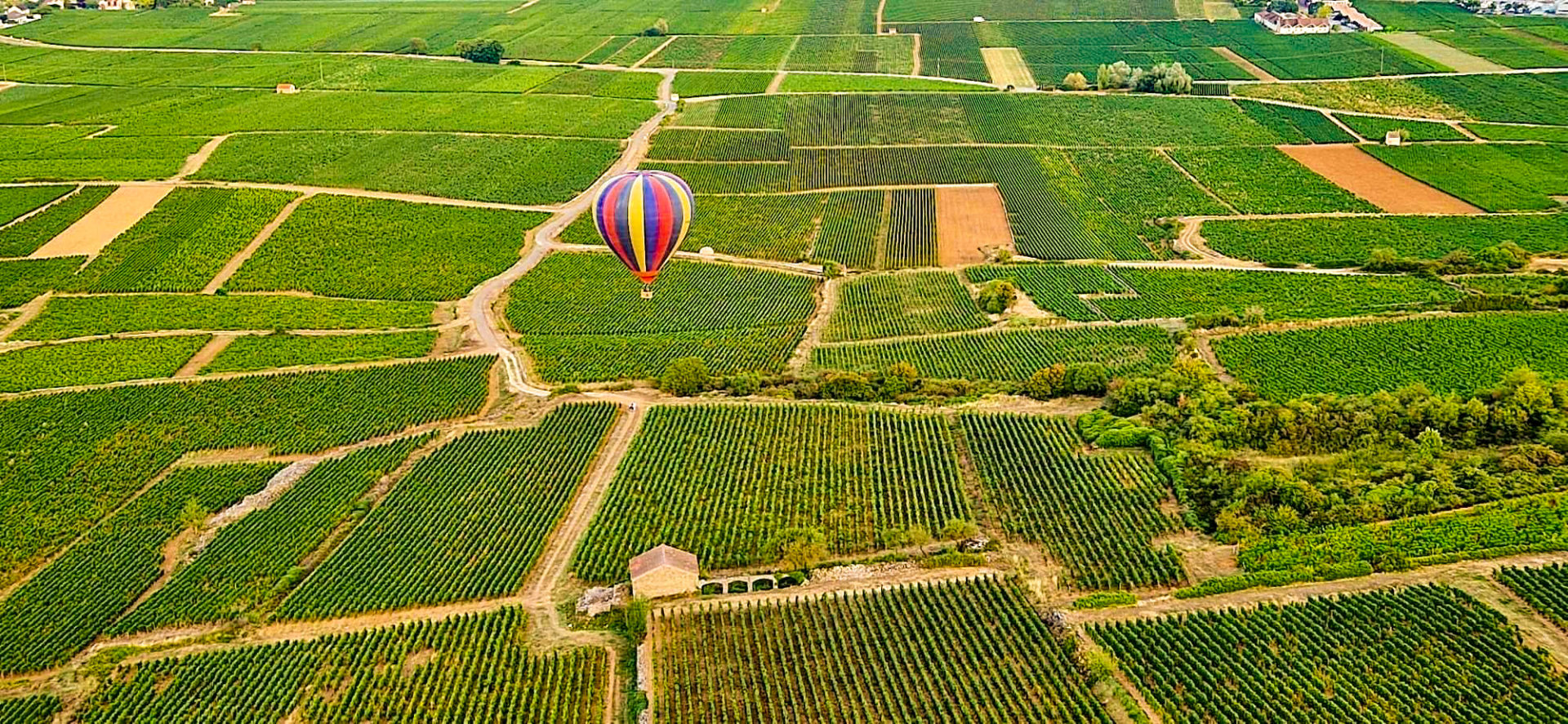 Montgolfiere above the vines