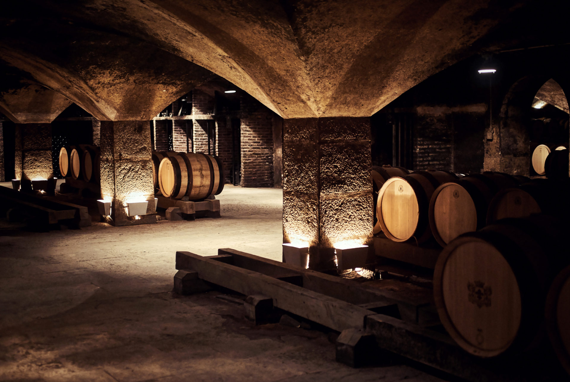 cellar tasting burgundy