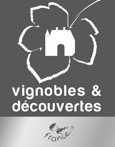 vignoblesdecouvertes