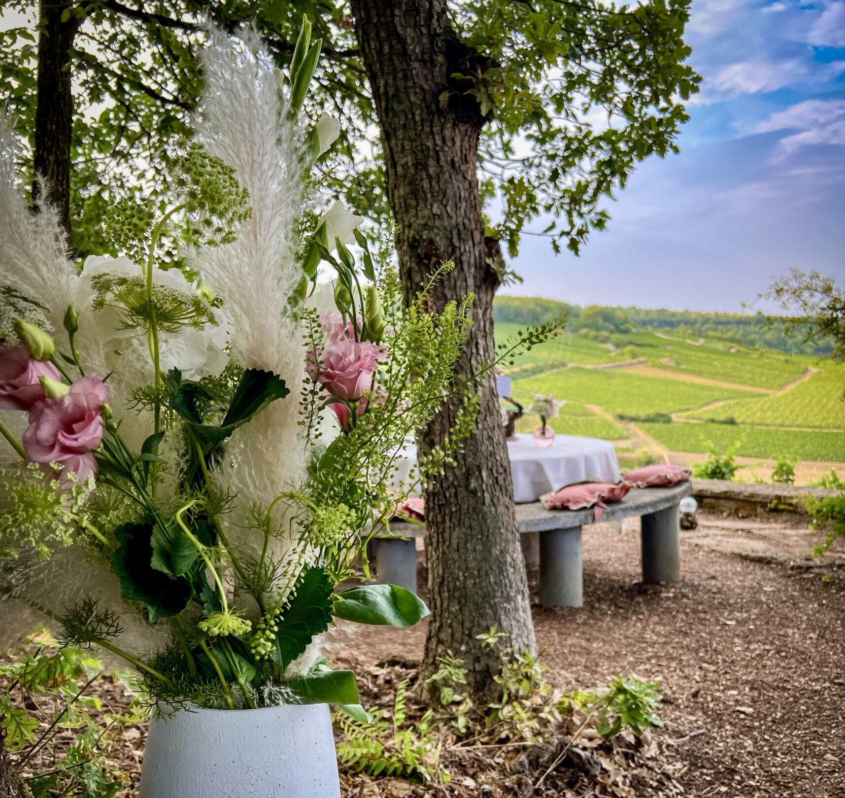 Repas dans les vignes