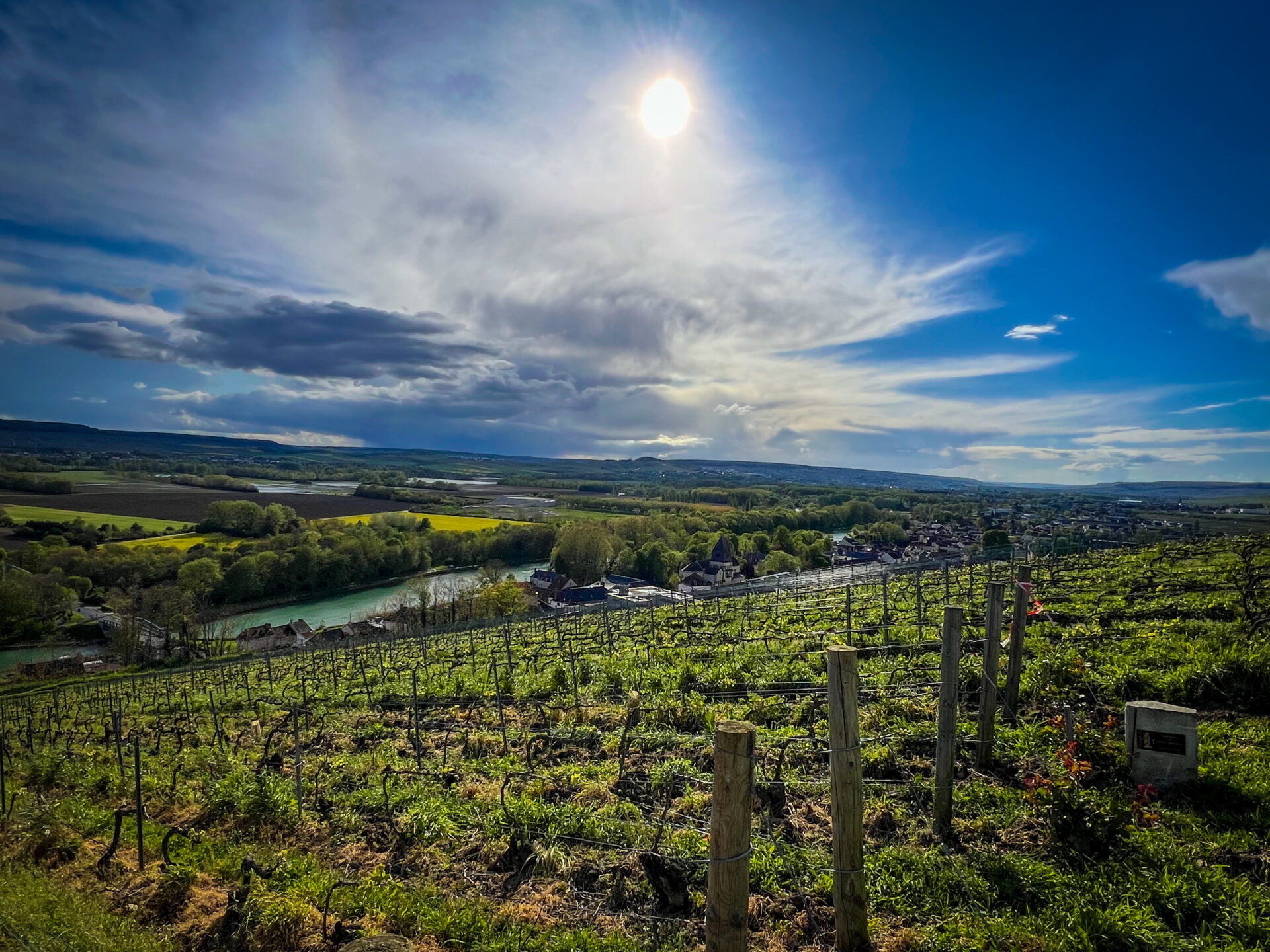 Vignes de Champagne